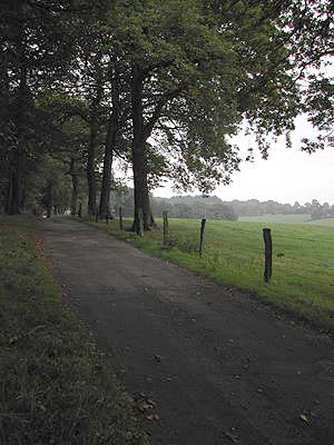 Elven Road