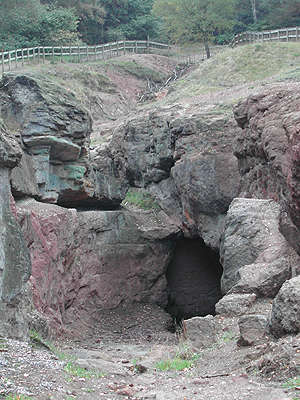 Engine Vein